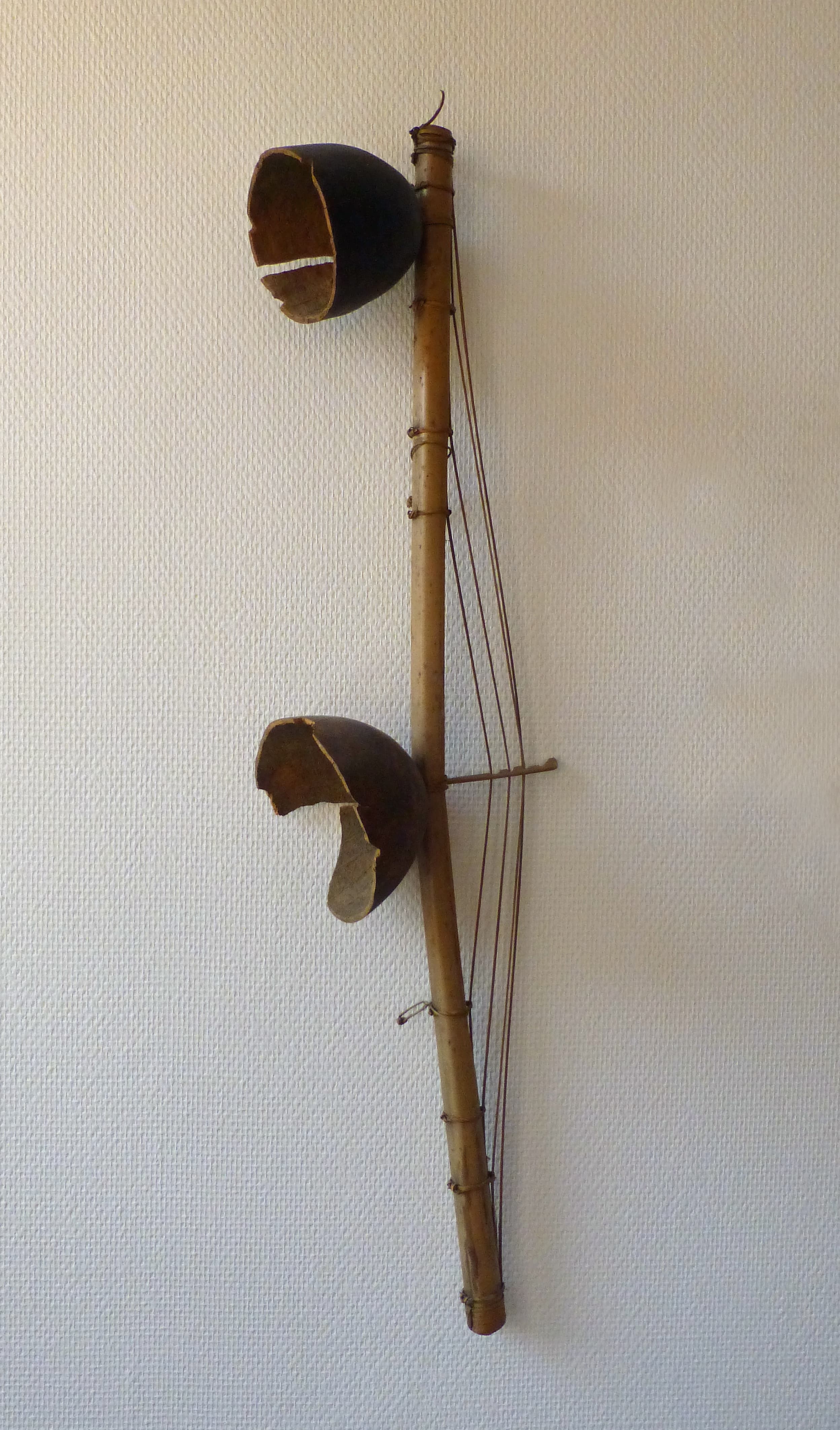 Obaka