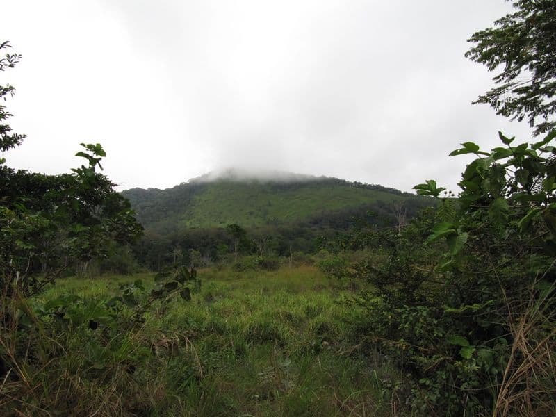 Parc National de la Lopé
