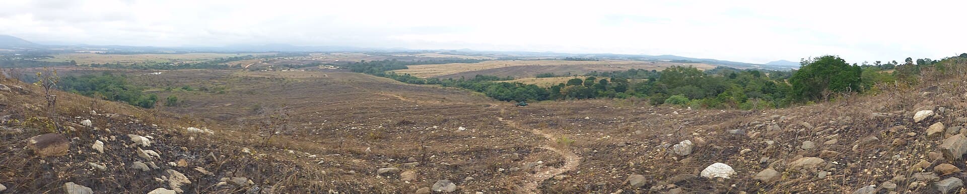 Vue panoramique du parc de la Lopé