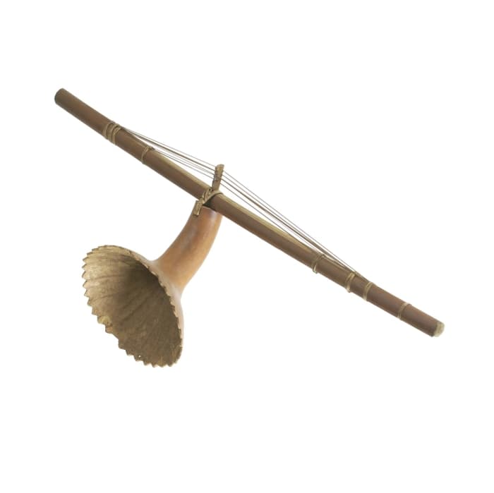 Cithare-bâton à 3 cordes, Tropenmuseum — instrument apparenté au mvet